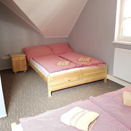 بيت ضيافة Restaurace & U Tri Jasanu 3*