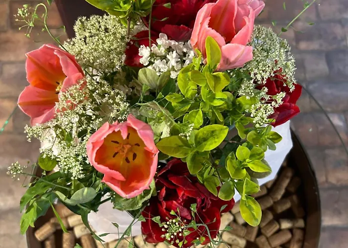 Restaurace & U Tri Jasanu 3*